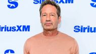 David Duchovny (Image via Getty)